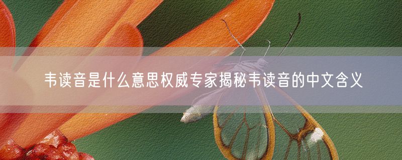 韦读音是什么意思权威专家揭秘韦读音的中文含义