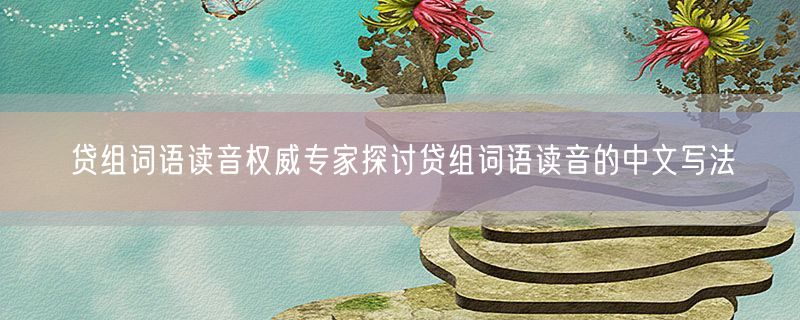 贷组词语读音权威专家探讨贷组词语读音的中文写法