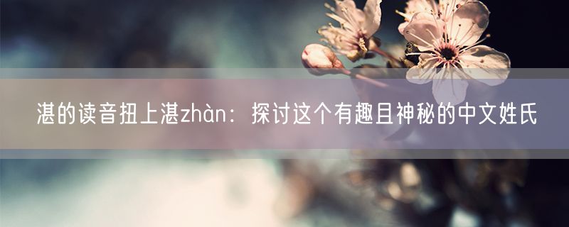 湛的读音扭上湛zhàn：探讨这个有趣且神秘的中文姓氏