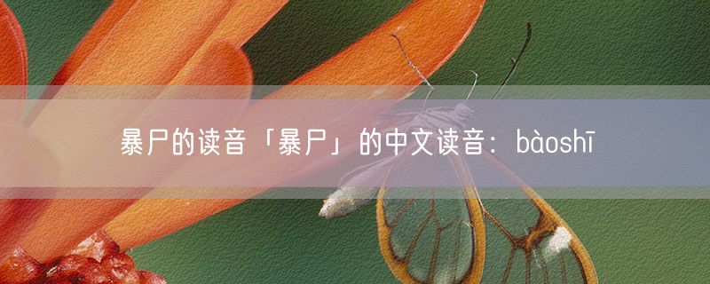 暴尸的读音「暴尸」的中文读音：bàoshī